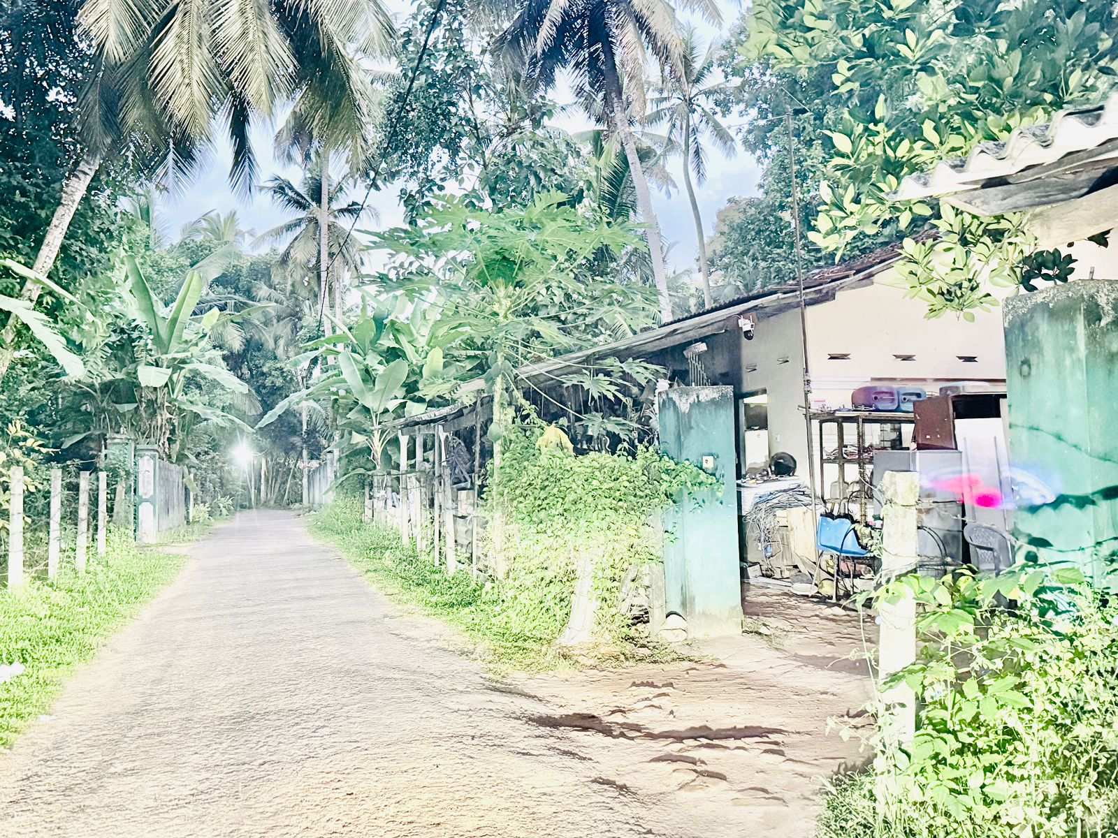 Land for Sale in Negombo , Gampaha