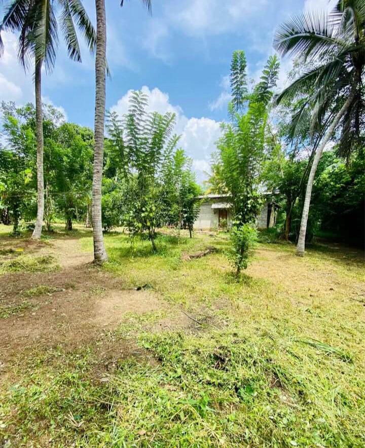 Land for Sale in Bandaragama