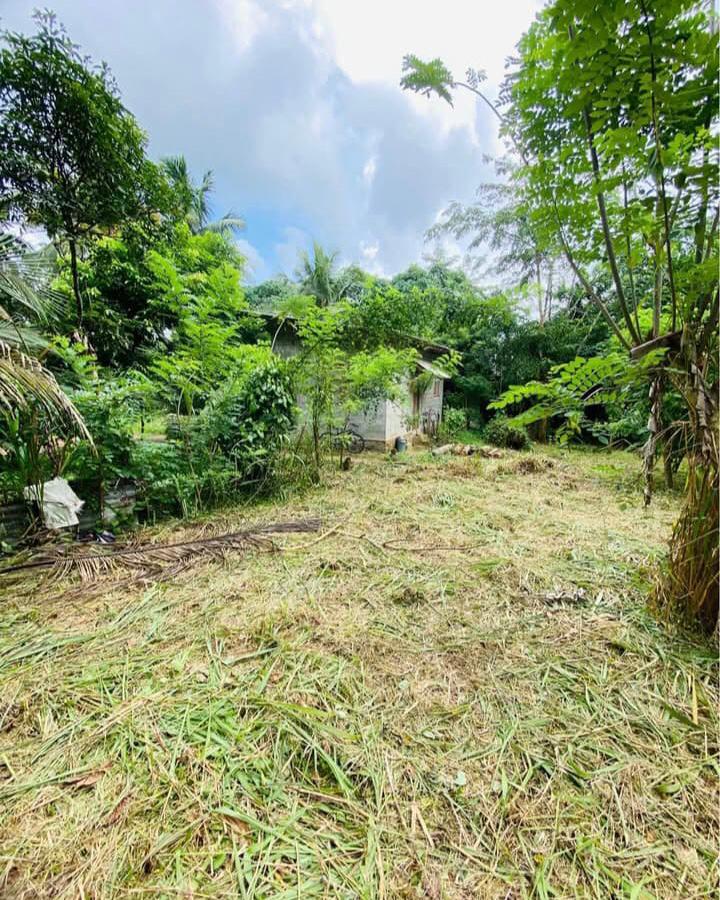 Land for Sale in Bandaragama