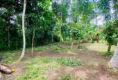 Land for Sale in Bandaragama