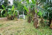 Land for Sale in Bandaragama