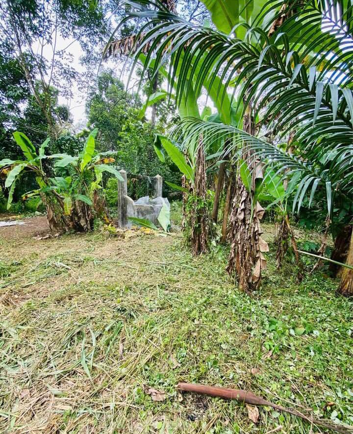 Land for Sale in Bandaragama