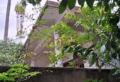 Close to Colombo Luxury, with A Peaceful Village Ambiance Kandana