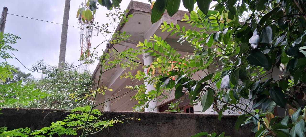 Close to Colombo Luxury, with A Peaceful Village Ambiance Kandana