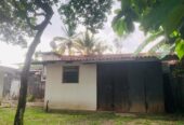 Elegant 3-Bedroom Family Home for Sale in the Heart of Wadduwa