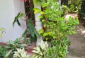 House for Sale Kalutara South