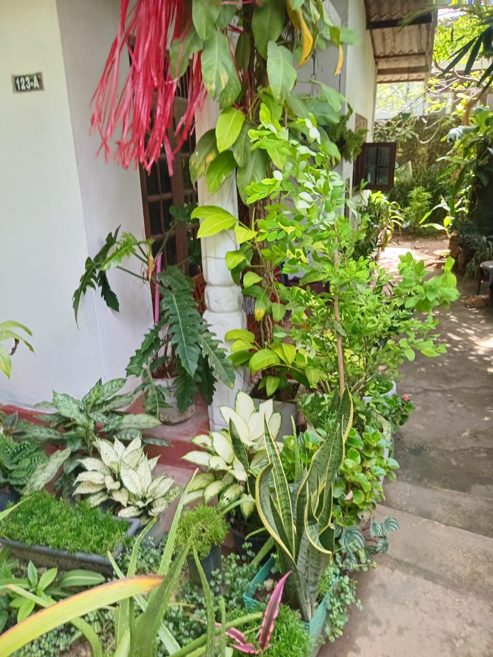 House for Sale Kalutara South