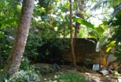 House for Sale Kalutara South