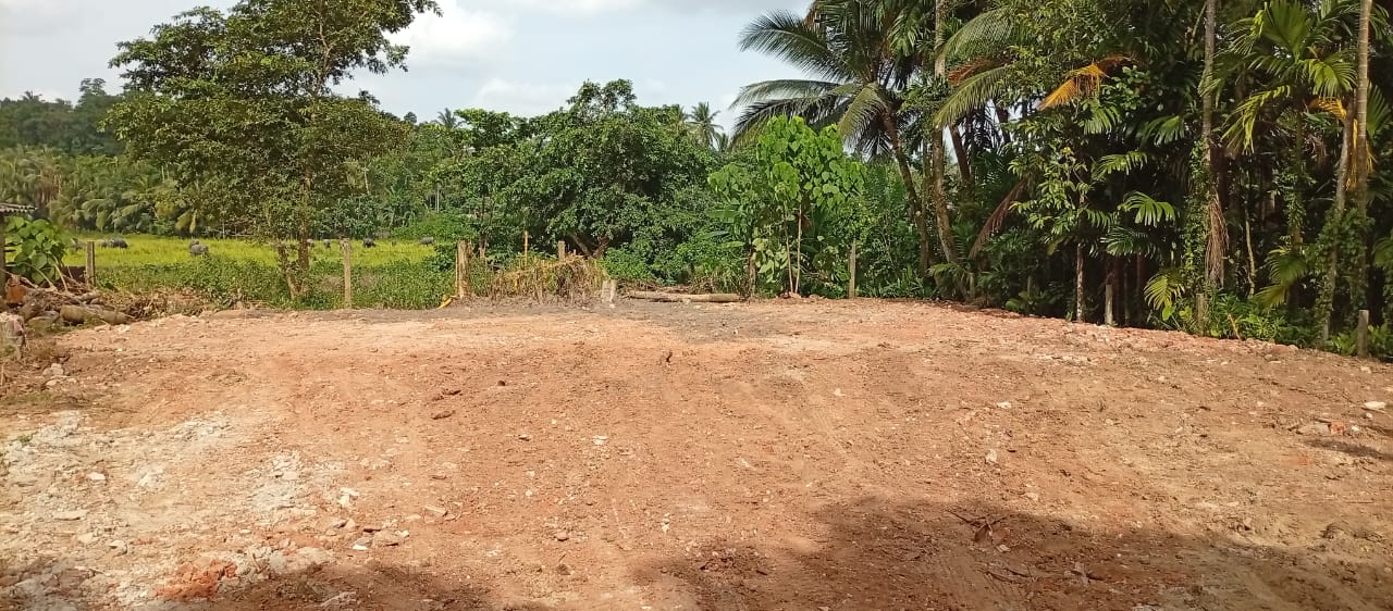 Land for Sale in Kadawatha