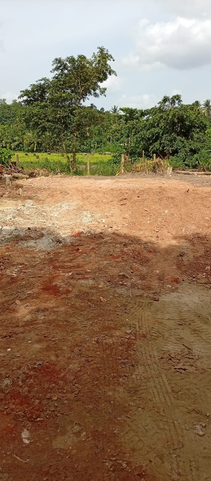 Land for Sale in Kadawatha