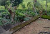House with Land Galle for Sale