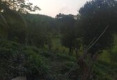 House with Land Galle for Sale