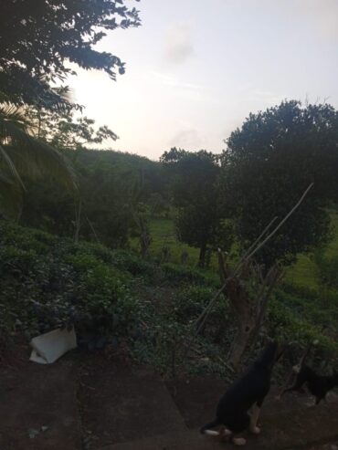 House with Land Galle for Sale
