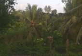 House with Land Galle for Sale
