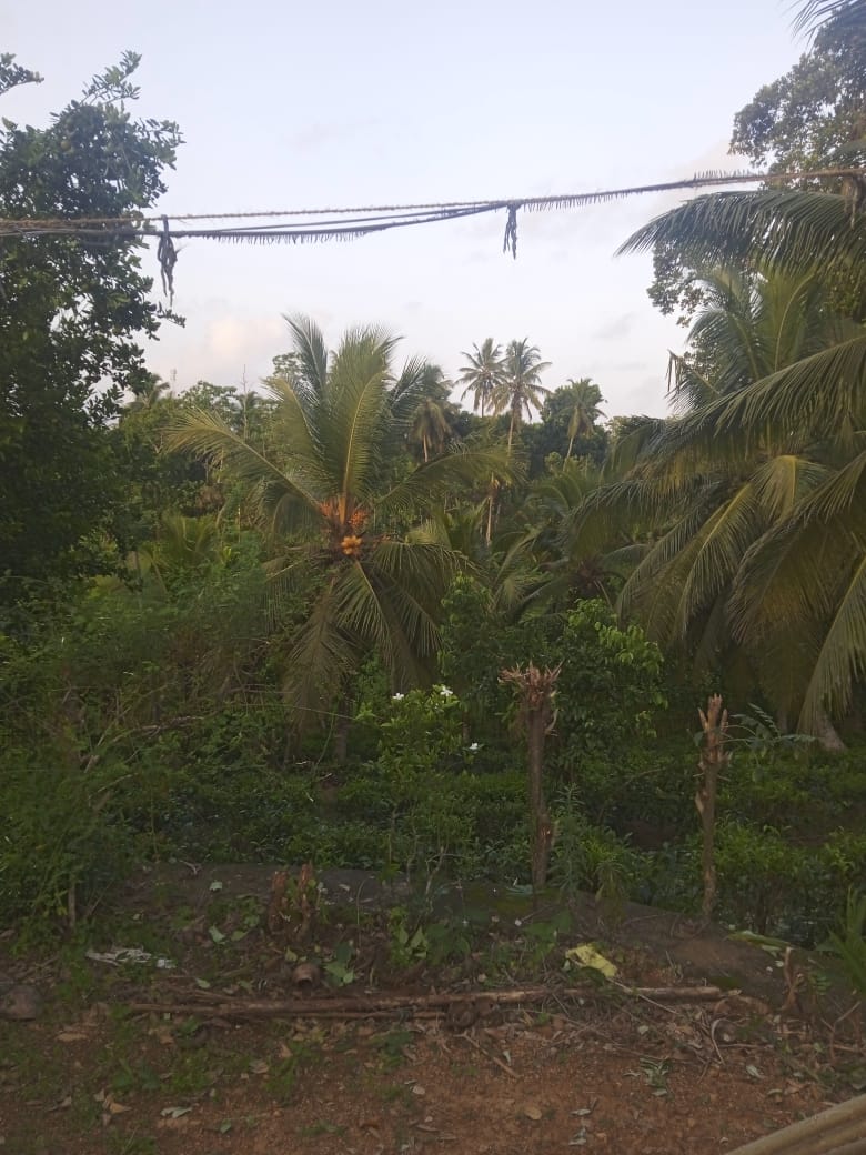House with Land Galle for Sale
