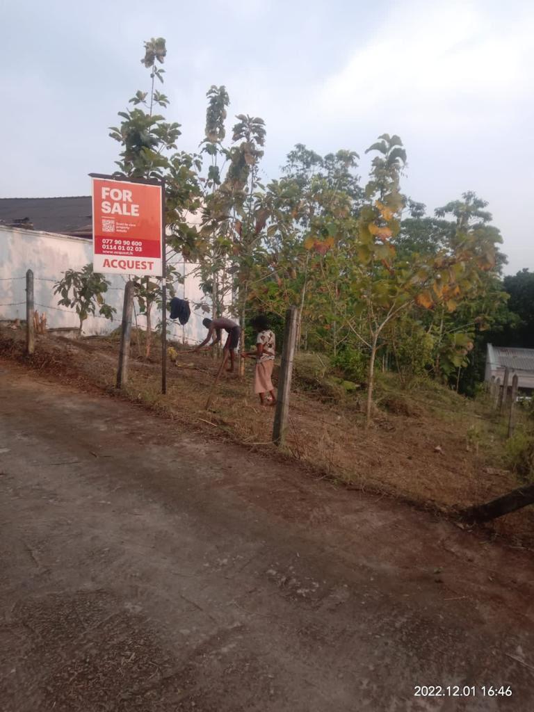 Land For Sale –Thalawathugoda