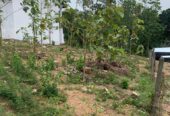 Land For Sale –Thalawathugoda