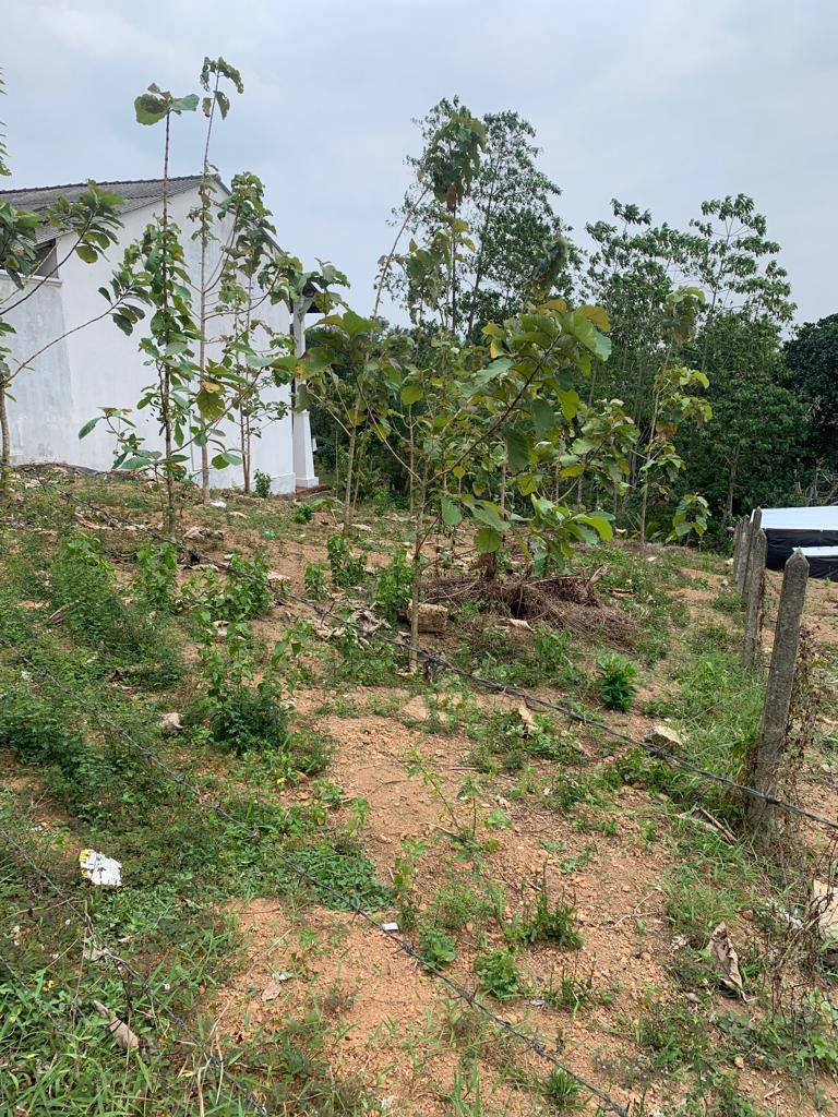 Land For Sale –Thalawathugoda