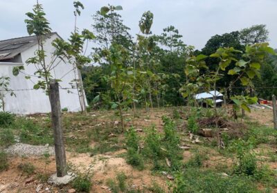 Land For Sale –Thalawathugoda