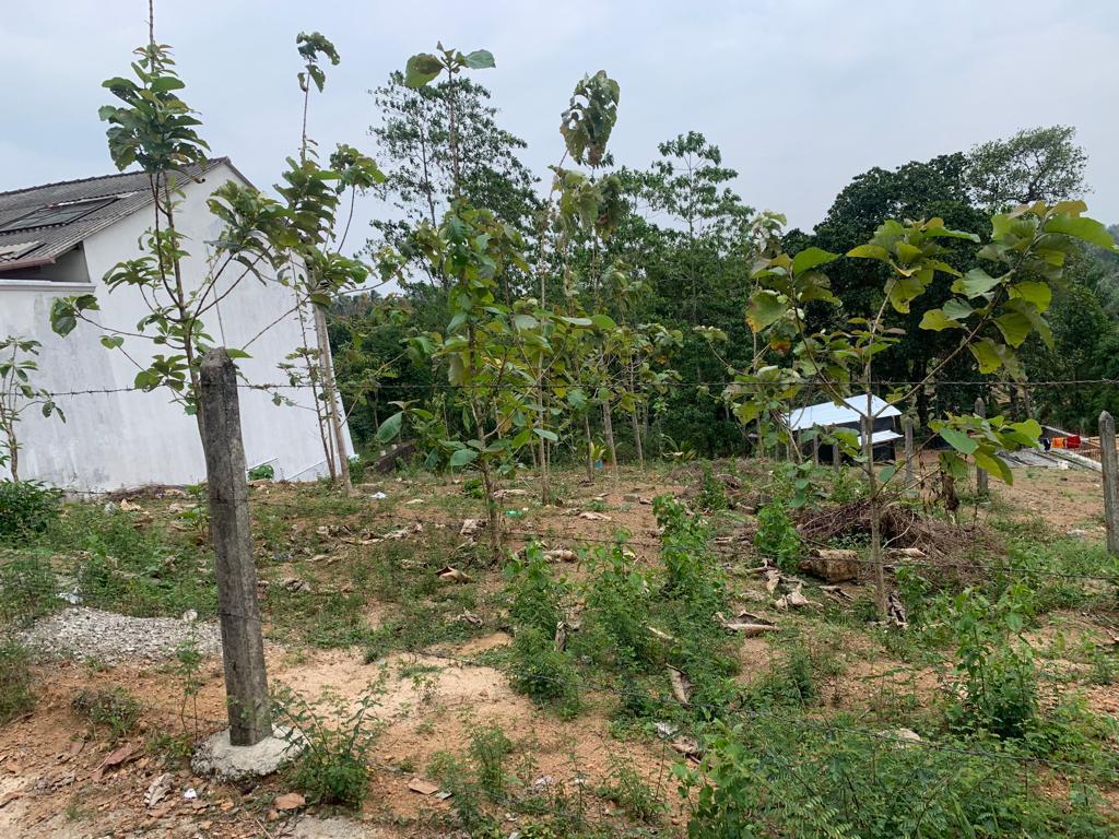 Land For Sale –Thalawathugoda