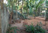 House with Land for Sale – Ragama