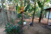 House with Land for Sale – Ragama