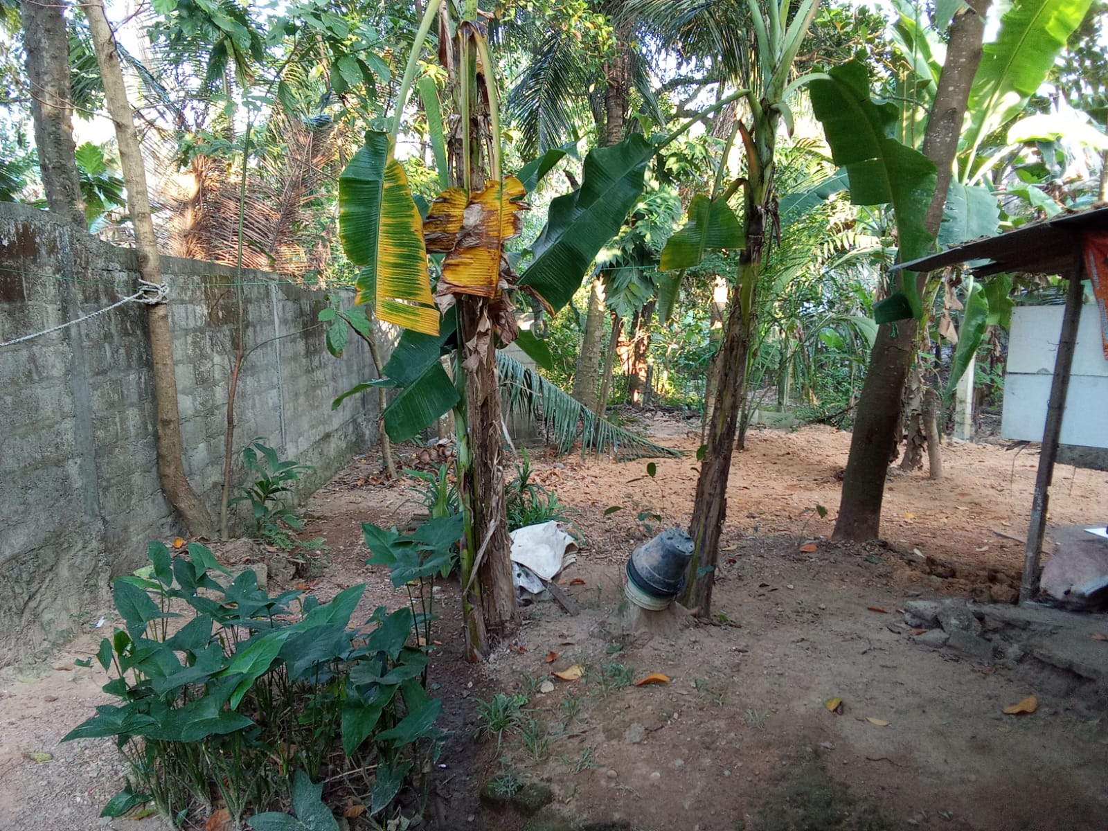 House with Land for Sale – Ragama