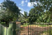 Land for Sale – Kaduwela, Dissahena