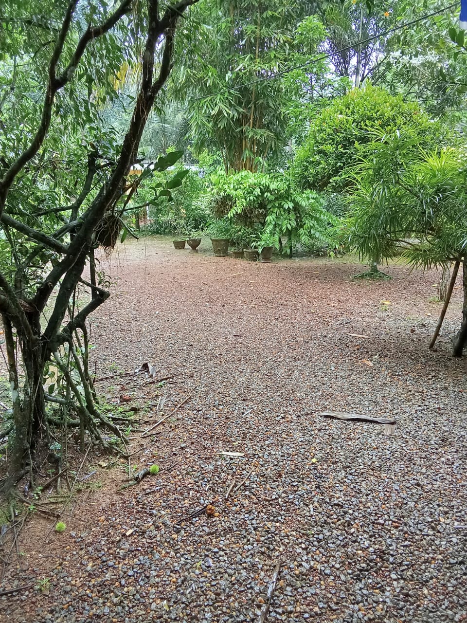 හොරණින් සියලු පහසුකම් සහිත නිවසක් විකිනීමට