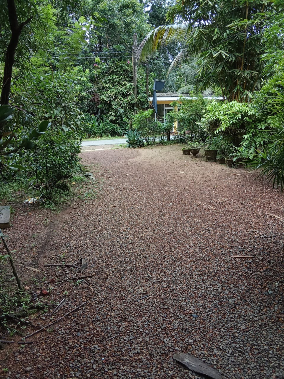 හොරණින් සියලු පහසුකම් සහිත නිවසක් විකිනීමට