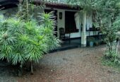 හොරණින් සියලු පහසුකම් සහිත නිවසක් විකිනීමට