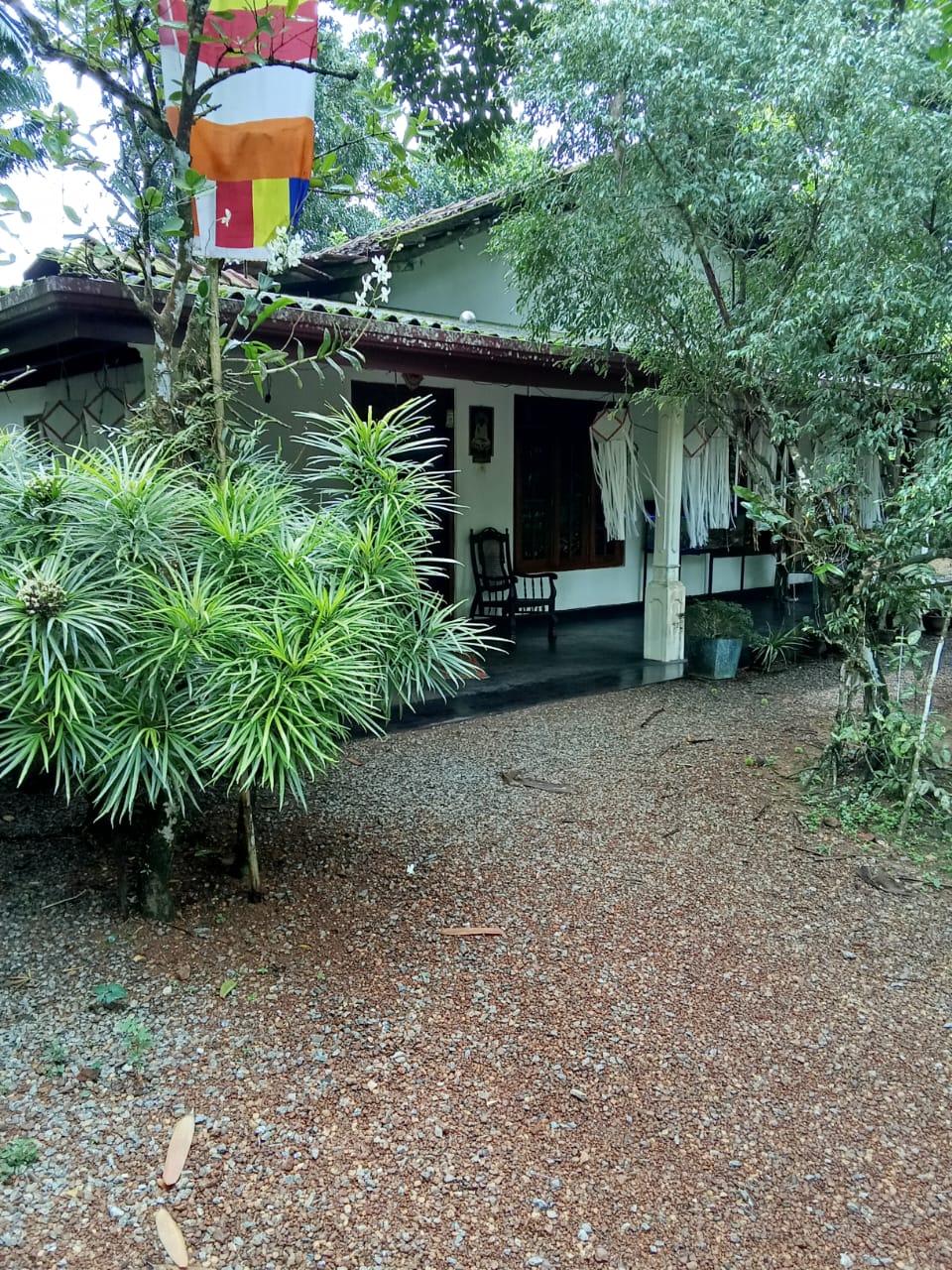 හොරණින් සියලු පහසුකම් සහිත නිවසක් විකිනීමට