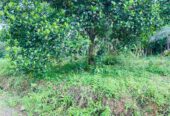 Land for Sale in Kaduwela