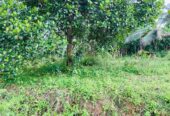 Land for Sale in Kaduwela