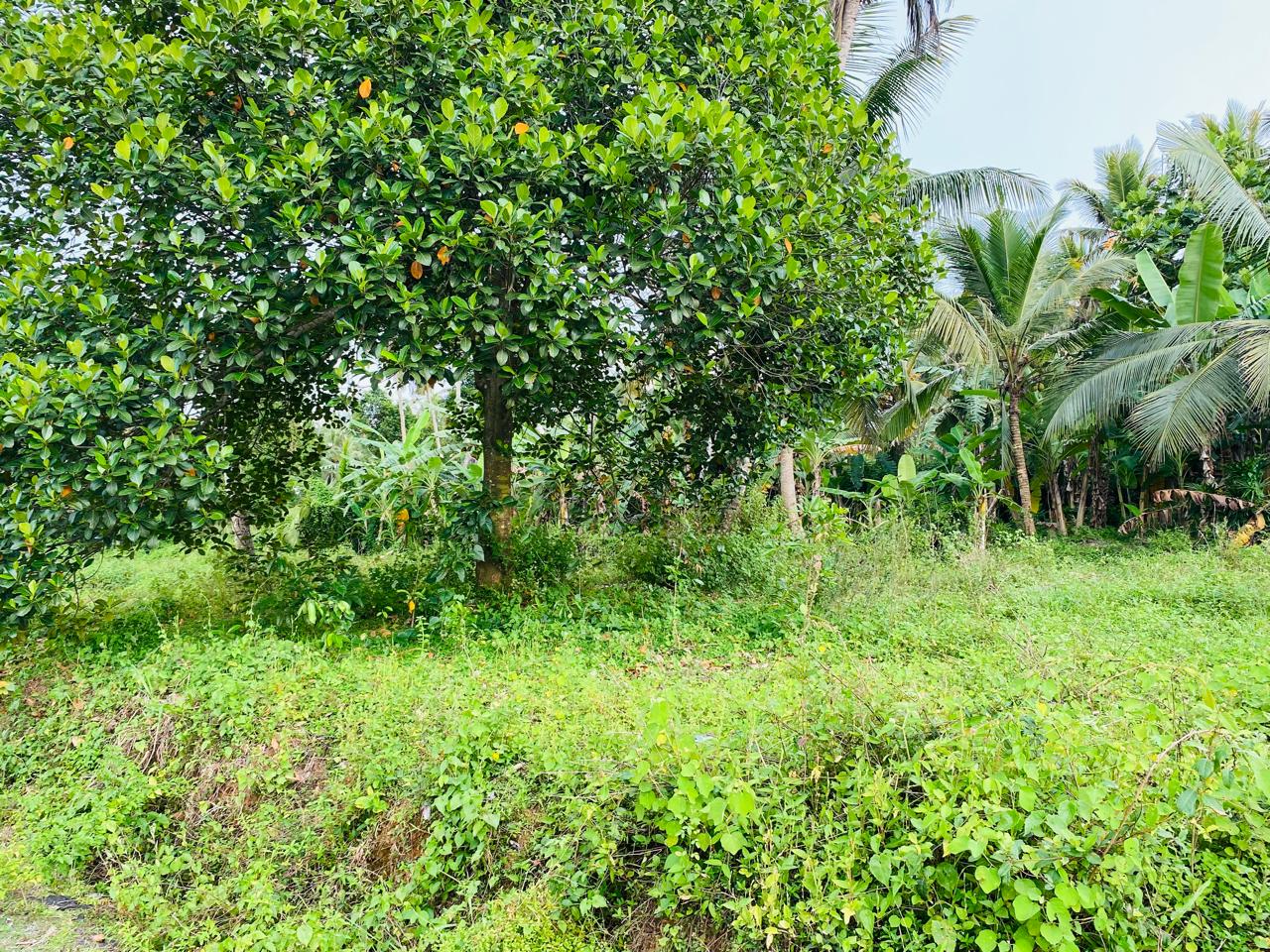 Land for Sale in Kaduwela