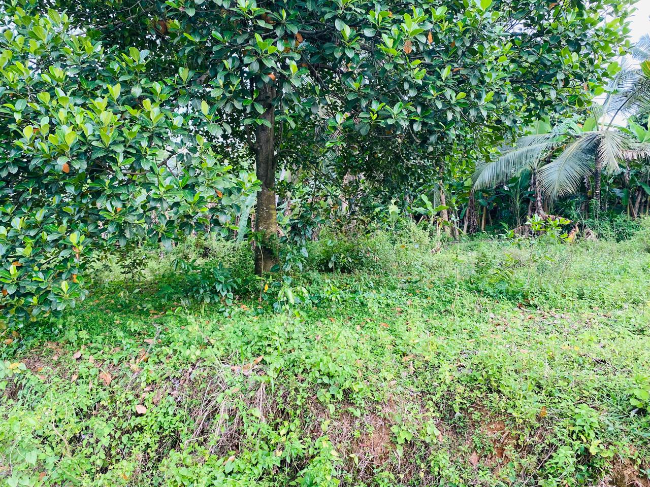 Land for Sale in Kaduwela