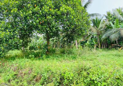 Land for Sale in Kaduwela