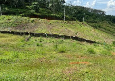 Land for Sale – Meepe (10.15 Perch)