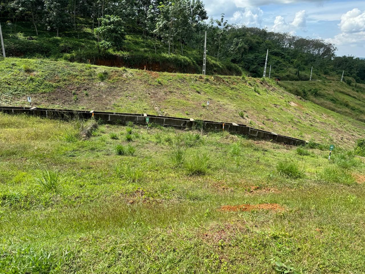 Land for Sale – Meepe (10.15 Perch)