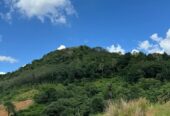 Land for Sale – Meepe (10.15 Perch)