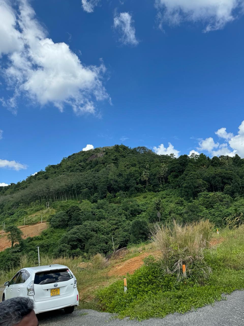 Land for Sale – Meepe (10.15 Perch)