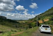 Land for Sale – Meepe (10.15 Perch)