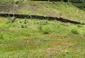 Land for Sale – Meepe (10.15 Perch)