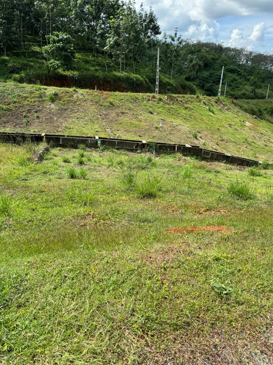 Land for Sale – Meepe (10.15 Perch)