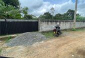 Land for sale in Walikala Road, Pokunuwita