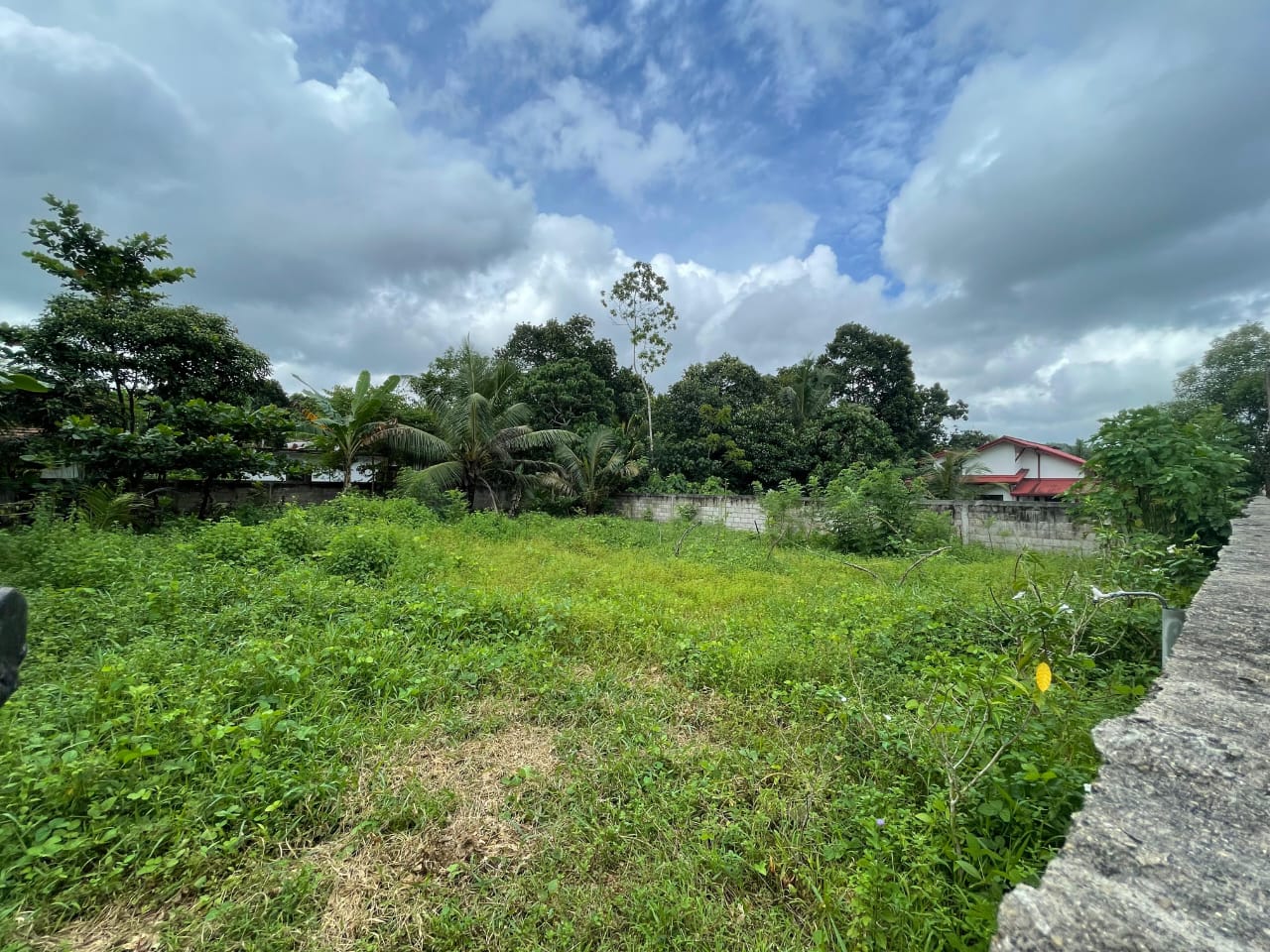 Land for sale in Walikala Road, Pokunuwita