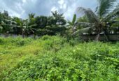 Land for sale in Walikala Road, Pokunuwita