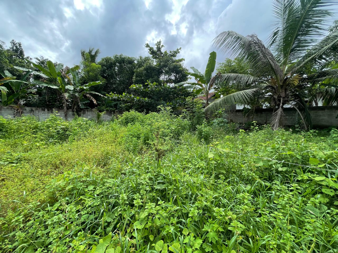 Land for sale in Walikala Road, Pokunuwita