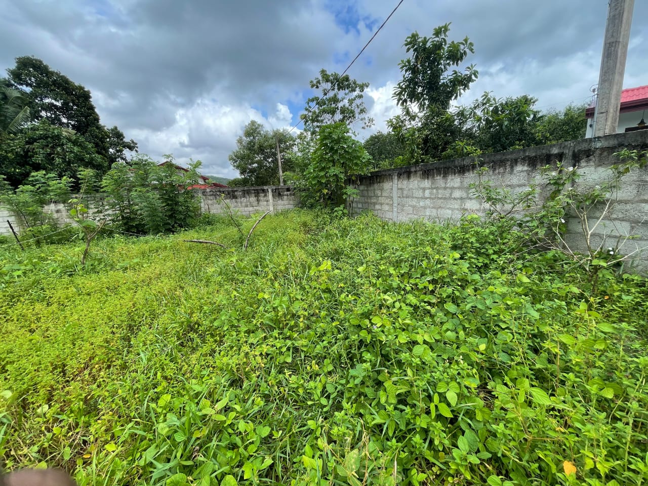 Land for sale in Walikala Road, Pokunuwita