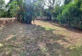 Land with House for Sale in Anuradhapura